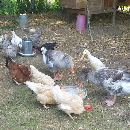 Gite Matilon, 5 Min Eugenie Les Bains Buanes 外观 照片