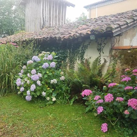 Gite Matilon, 5 Min Eugenie Les Bains Buanes 外观 照片