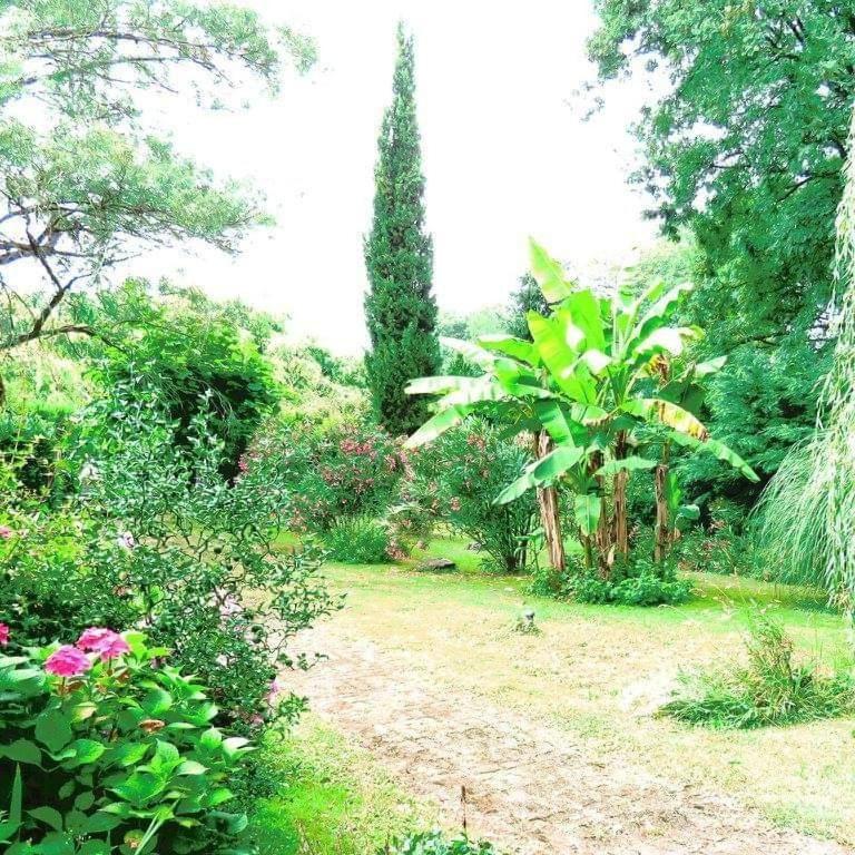 Gite Matilon, 5 Min Eugenie Les Bains Buanes 外观 照片